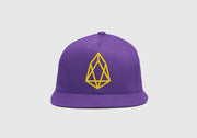 EOS Snapback Hat